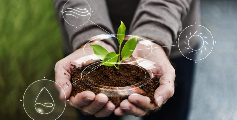 Inteligencia Artificial en la Agricultura murciana smart agriculture iot with hand planting tree background 790x400 - Inteligencia Artificial en la Agricultura murciana