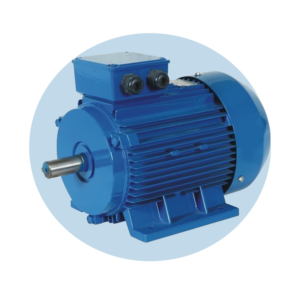 motores electricos 1 300x283 - Bombas normalizadas