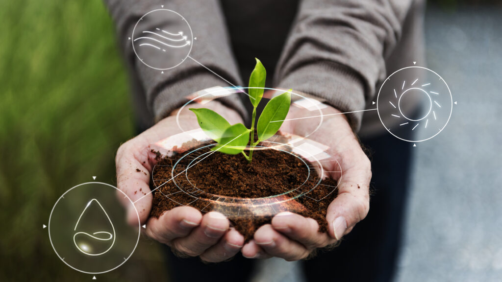 smart agriculture iot with hand planting tree background 1024x576 - Inteligencia Artificial en la Agricultura murciana