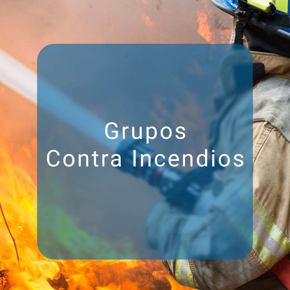 11 - Productos